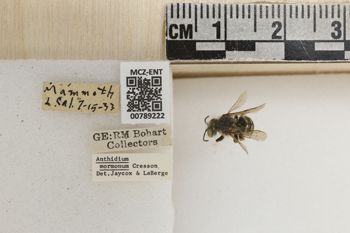Media type: image;   Entomology 789222 Aspect: Labels